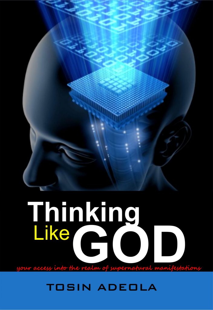 Book Cover: Thinking Like God