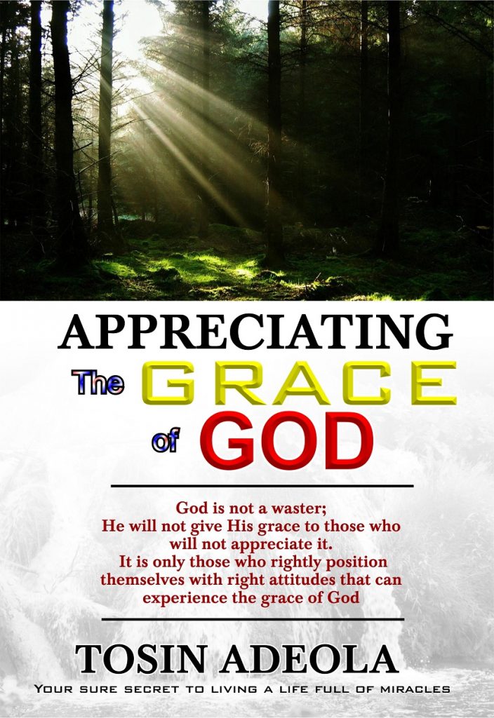 Book Cover: Appreciating the Grace of God