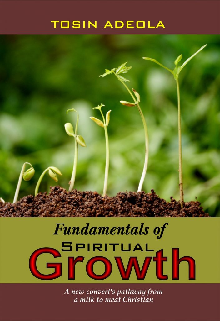 Book Cover: Fundamentals of Spiritual Growth